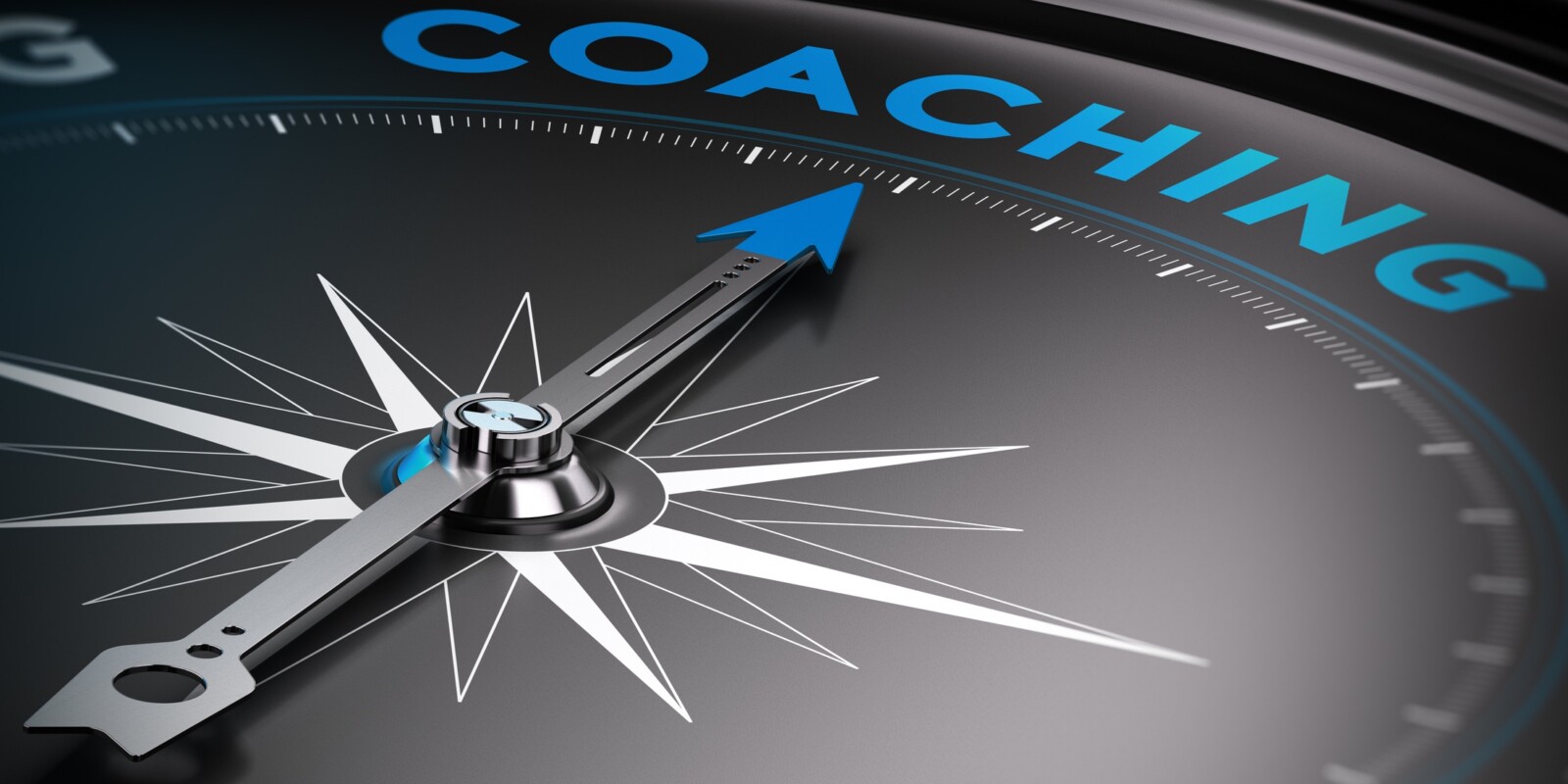 FLY Consulting Germany - Coaching